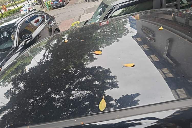 Used Baojun KiWi EV 2022 Artist Lite Edition Ternary Lithium Roof
