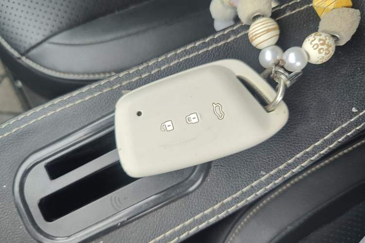 Used Baojun KiWi EV 2022 Artist Lite Edition Lithium Iron Phosphate Vehicle Key