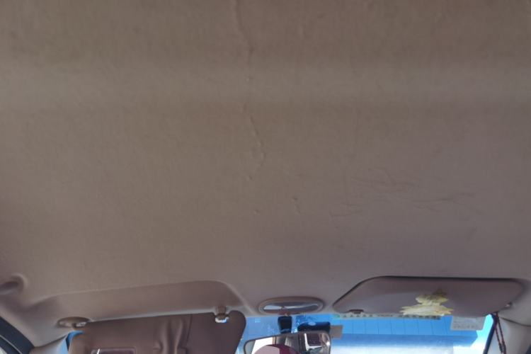 Used Baojun Lechi 2009 1.0L manual comfort version Headliner