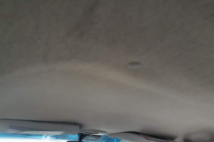 Used Baojun Lechi 2010 1.2L Manual Superior Edition Headliner