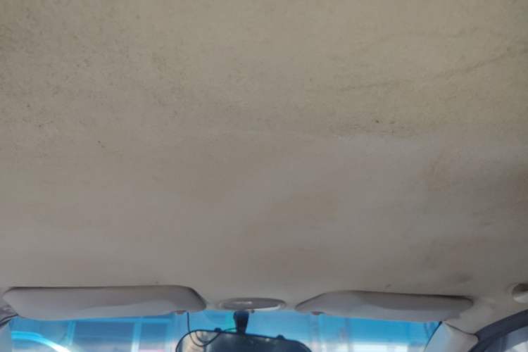 Used Baojun Lechi 2012 1.2L Manual Sports Edition Superior Model Headliner