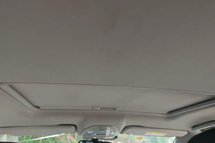 Used Baojun RC-5 2020 RC-5W 1.5T CVT Smart Luxury Edition Headliner