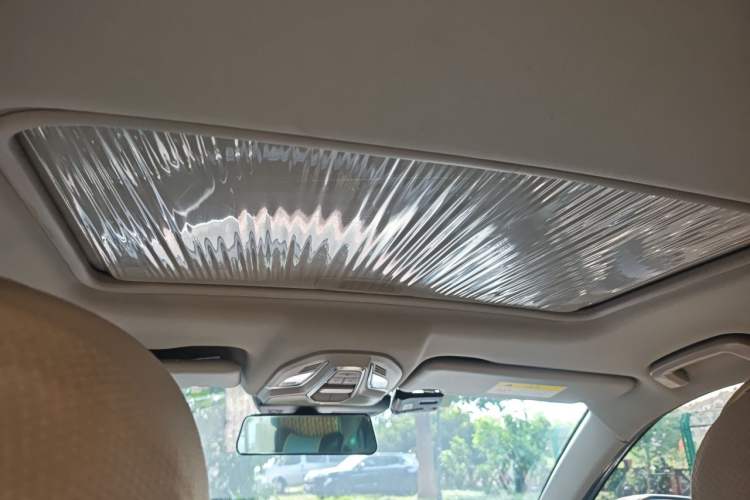 Used Baojun RC-5 2020 1.5T CVT Smart Luxury Edition Headliner
