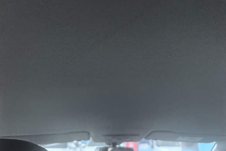 Used Baojun RC-5 2020 1.5L CVT Smart Elite Edition Headliner