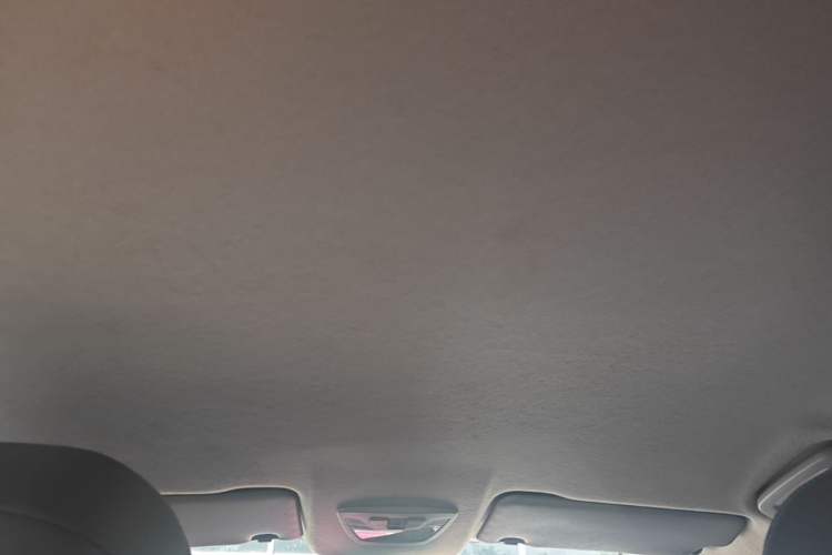 Used Baojun RC-5 2020 1.5L Manual Zhiyao Elite Edition Headliner