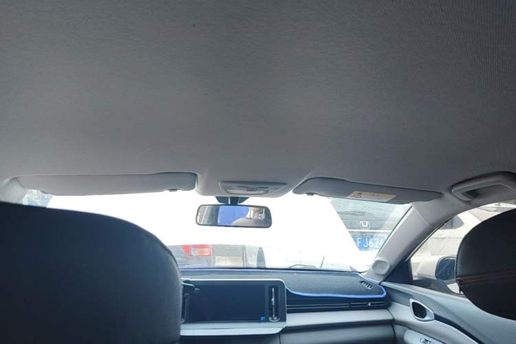 Used Baojun RC-5 2020 1.5L CVT Smart Elite Edition Headliner