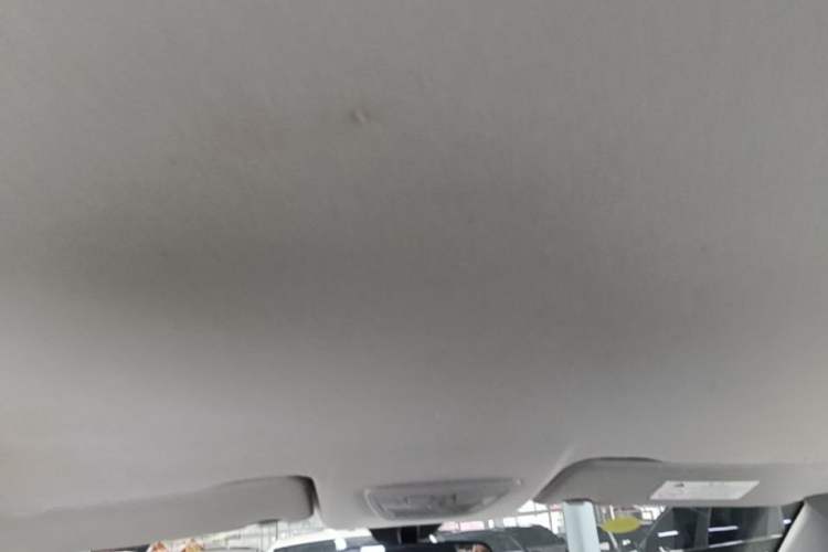 Used Baojun RC-5 2020 1.5L CVT Smart Elite Edition Headliner