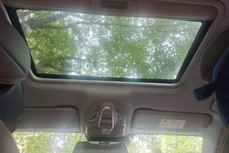 Used Baojun RC-5 2020 1.5T CVT Smart Luxury Edition Headliner