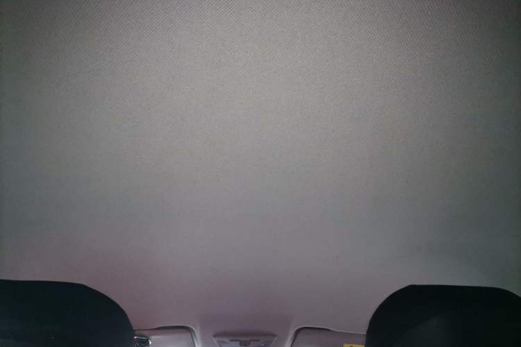 Used Baojun RC-5 2020 1.5L CVT Smart Elite Edition Headliner