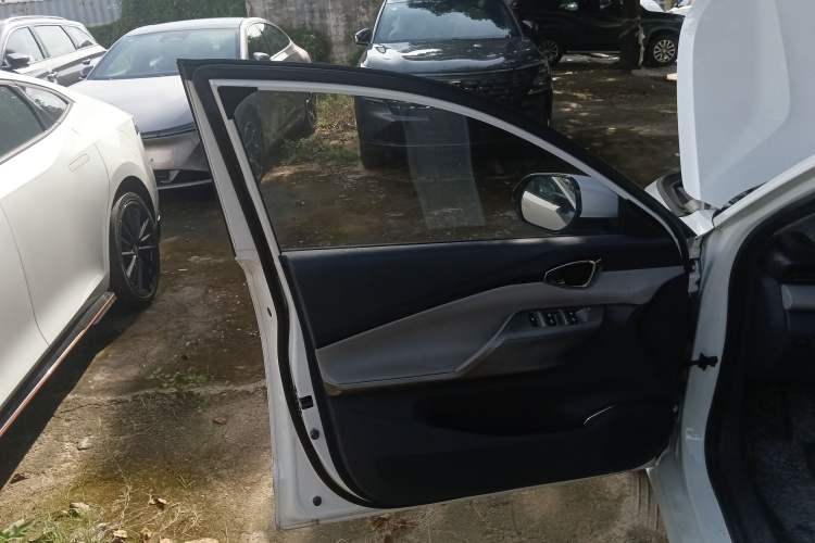 Used Baojun RC-5 2020 1.5T CVT Smart Shine Prestige Edition Left Front Door Interior