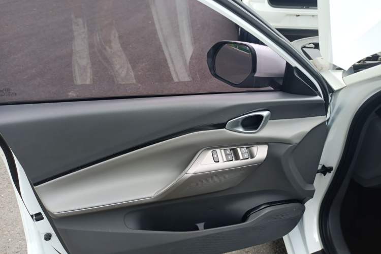 Used Baojun RC-5 2020 1.5L CVT Smart Elite Edition Left Front Door Interior