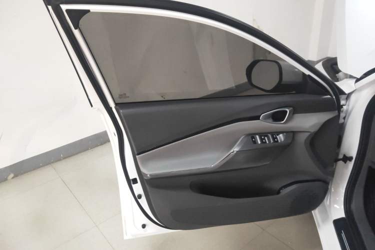 Used Baojun RC-5 2020 1.5T CVT Smart Luxury Edition Left Front Door Interior