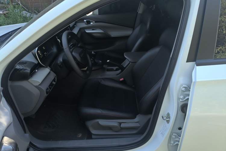 Used Baojun RC-5 2020 1.5L Manual Zhiyao Elite Edition Left Front Seat