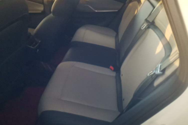 Used Baojun RC-5 2020 1.5T CVT Smart Shine Prestige Edition Left Rear Seat