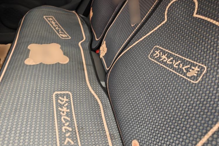Used Baojun RC-5 2020 1.5T CVT Smart Luxury Edition Left Rear Seat