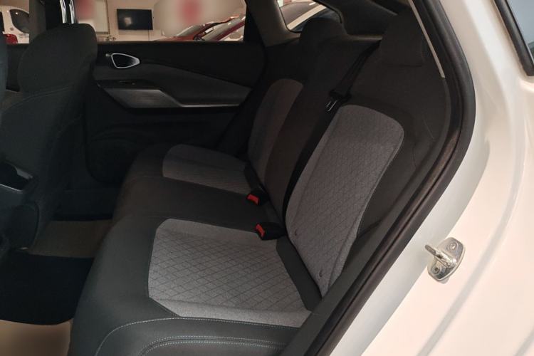 Used Baojun RC-5 2020 1.5L CVT Smart Elite Edition Left Rear Seat