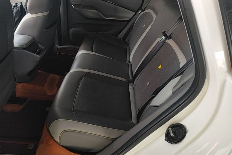 Used Baojun RC-5 2020 1.5T CVT Smart Luxury Edition Left Rear Seat
