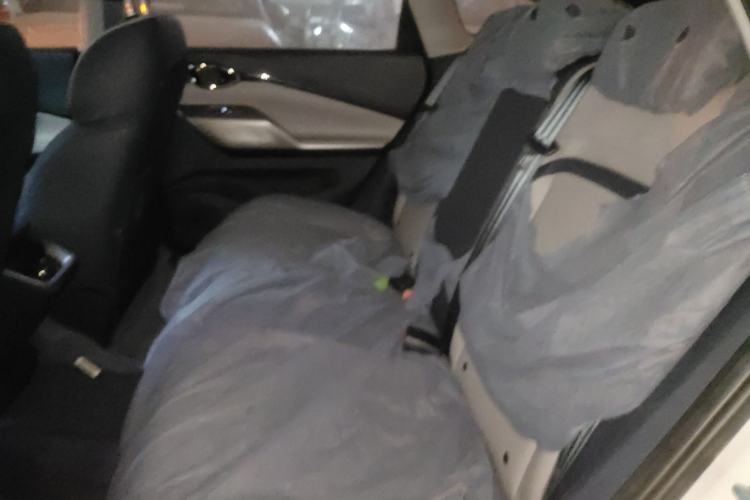 Used Baojun RC-5 2020 1.5T CVT Smart Shine Prestige Edition Left Rear Seat