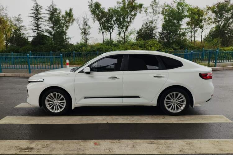 Used Baojun RC-5 2020 1.5T CVT Smart Luxury Edition Left Side