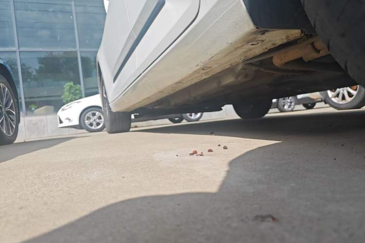Used Baojun RC-5 2020 1.5L Manual Zhiyao Elite Edition Left Side Sill