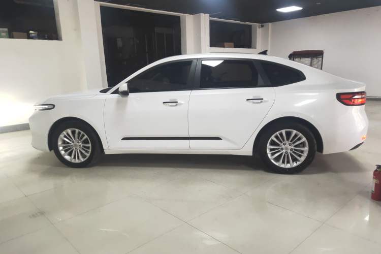 Used Baojun RC-5 2020 1.5T CVT Smart Luxury Edition Left Side