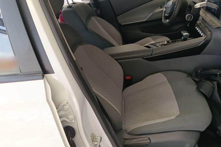 Used Baojun RC-5 2020 1.5L CVT Smart Elite Edition Right Front Seat