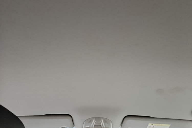 Used Baojun RC-6 2019 1.5T CVT 24-Hour Online Luxury Edition Headliner