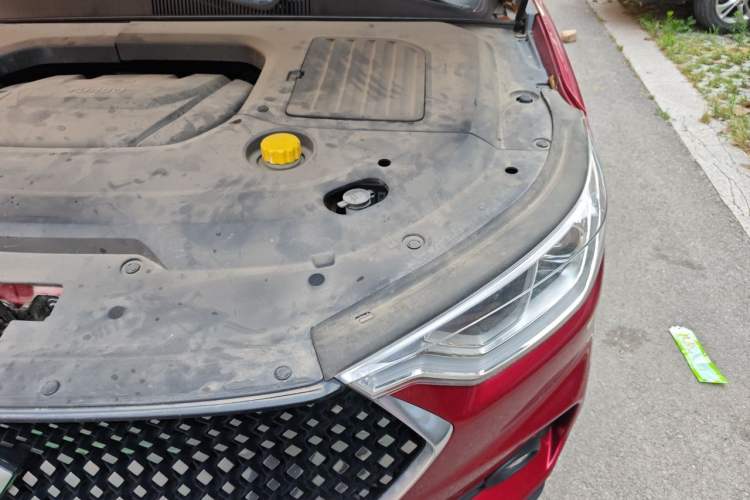 Used Baojun RC-6 2019 1.5T CVT 24-Hour Online Prestige Edition Engine Bay Left