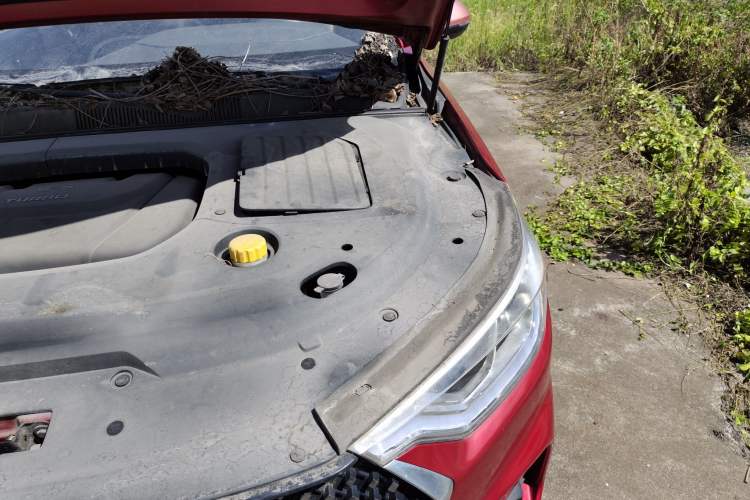 Used Baojun RC-6 2019 1.5T CVT 24-Hour Online Prestige Edition Engine Bay Left