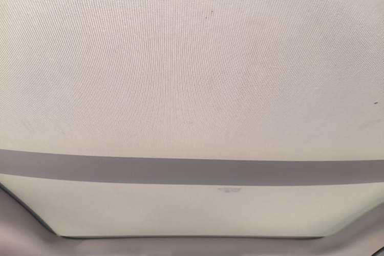Used Baojun RC-6 2019 1.5T CVT 24-Hour Online Prestige Edition Headliner
