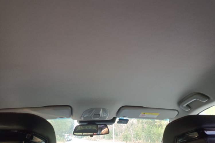Used Baojun RC-6 2019 1.5T CVT 24-Hour Online Prestige Edition Headliner