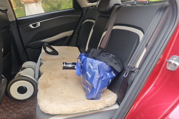 Used Baojun RC-6 2019 1.5T CVT 24-Hour Online Prestige Edition Left Rear Seat