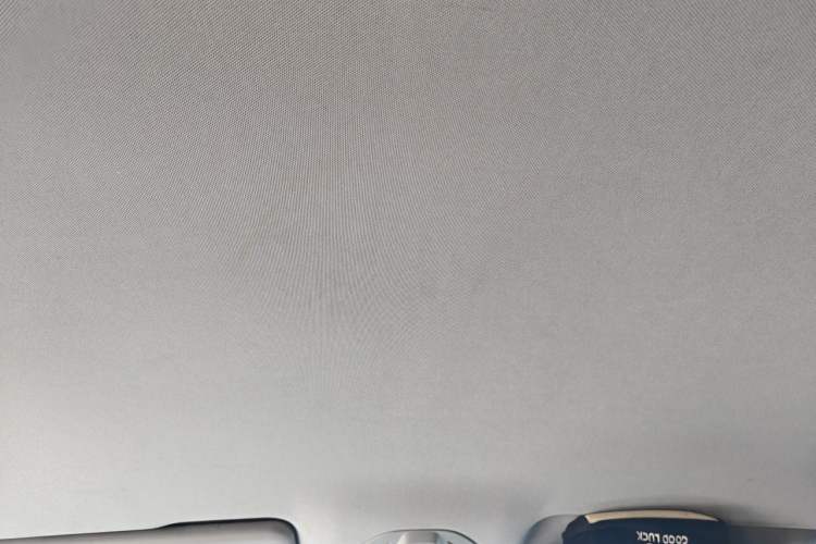 Used Baojun RC-6 2019 1.5T CVT 24-Hour Online Luxury Edition Headliner