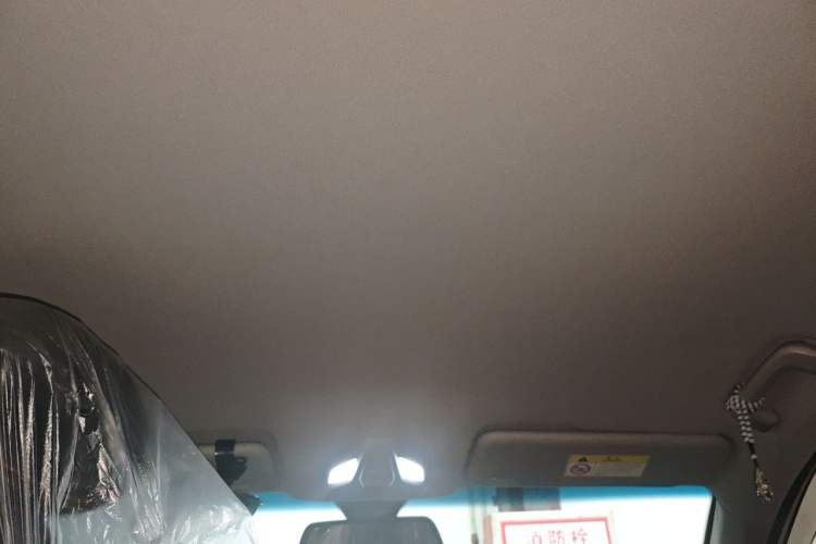 Used Baojun RC-6 2019 1.5T CVT 24-Hour Online Luxury Edition Headliner
