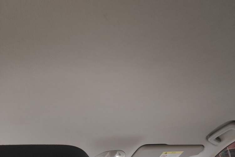 Used Baojun RC-6 2019 1.5T CVT 24-Hour Online Prestige Edition Headliner