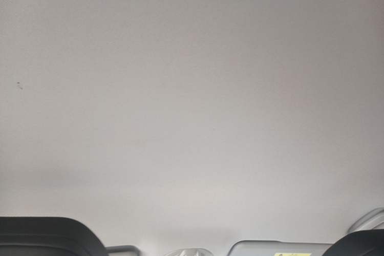 Used Baojun RC-6 2019 1.5T Manual 24-Hour Online Luxury Version Headliner