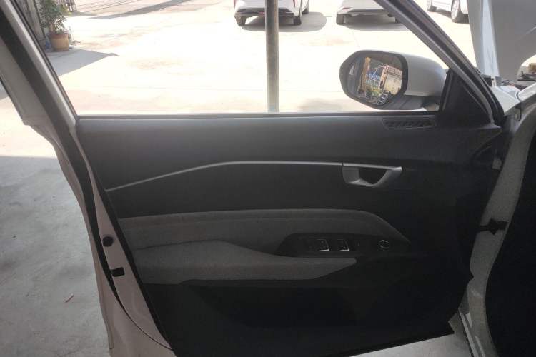 Used Baojun RC-6 2019 1.5T CVT Elite Version with 24-Hour Online Service Left Front Door Interior