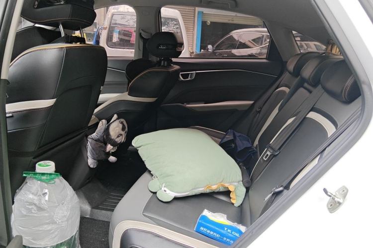 Used Baojun RC-6 2019 1.5T CVT 24-Hour Online Prestige Edition Left Rear Seat