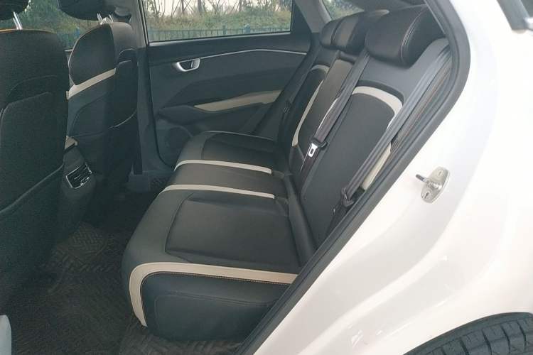 Used Baojun RC-6 2019 1.5T CVT 24-Hour Online Luxury Edition Left Rear Seat