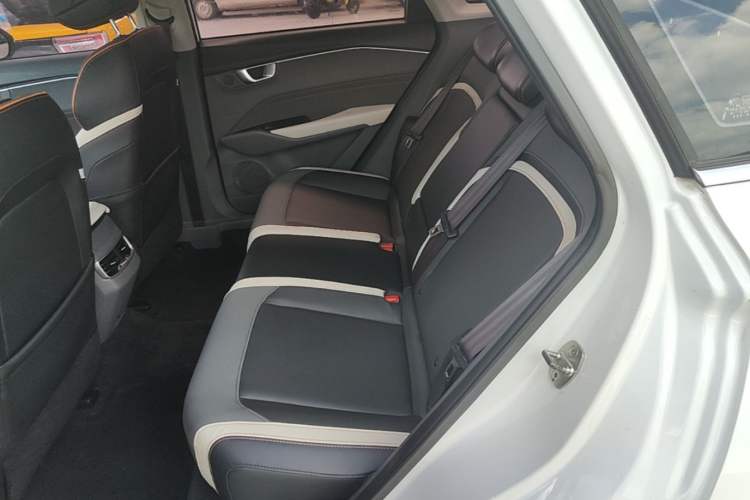 Used Baojun RC-6 2019 1.5T CVT 24-Hour Online Luxury Edition Left Rear Seat