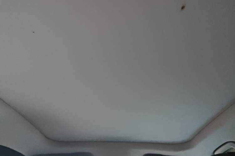 Used Baojun RM-5 2019 1.5T CVT 24-Hour Online Premium Version 7 Seats Headliner