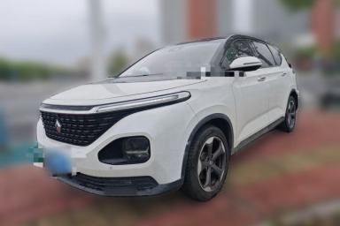 Used Baojun RM-5 2019 1.5T CVT 24-Hour Online Prestige Version 6 Seats
