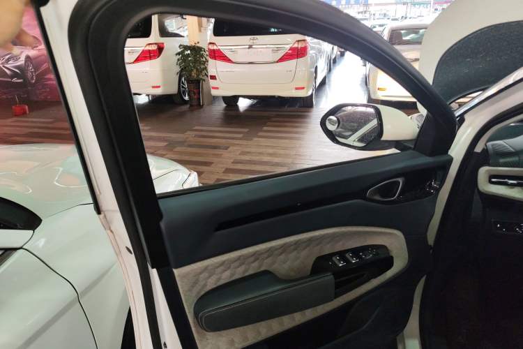Used Baojun RM-5 2019 1.5T CVT 24-Hour Online Luxury Version 6 Seats Left Front Door Interior