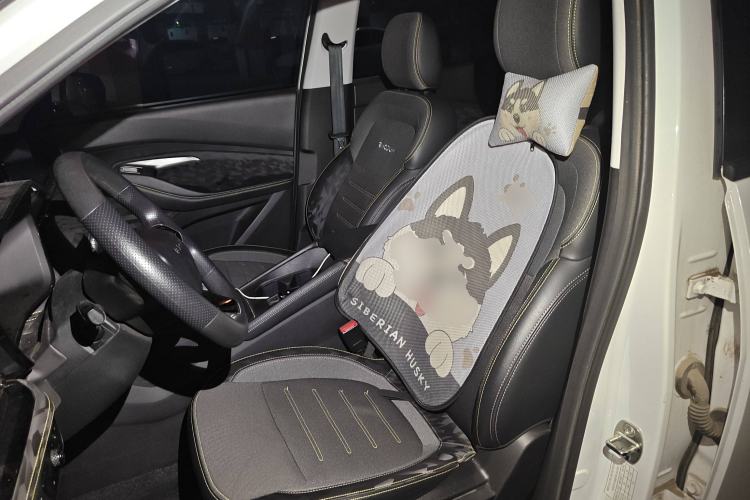 Used Baojun RS-3 2022 SOODA 1.5L CVT Pioneer Edition Left Front Seat