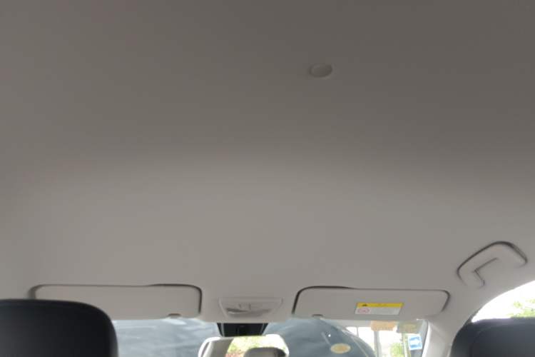 Used Baojun RS-3 2020 1.5L CVT Smart Elite Edition Headliner