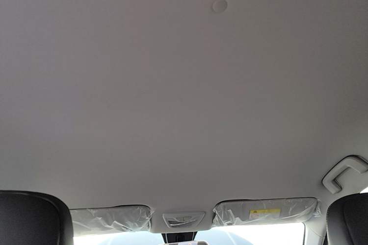 Used Baojun RS-3 2020 1.5L Manual Smart Elite Edition Headliner
