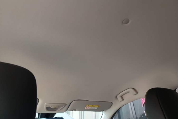 Used Baojun RS-3 2020 1.5T CVT Smart Elite Edition Headliner