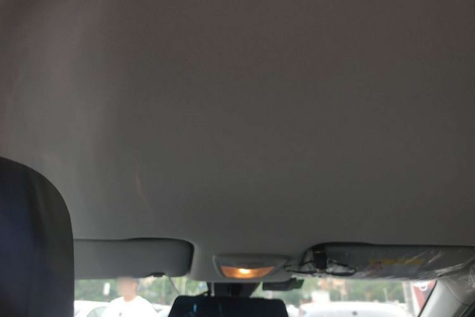 Used Baojun RS-3 2020 1.5T CVT Smart Elite Edition Headliner