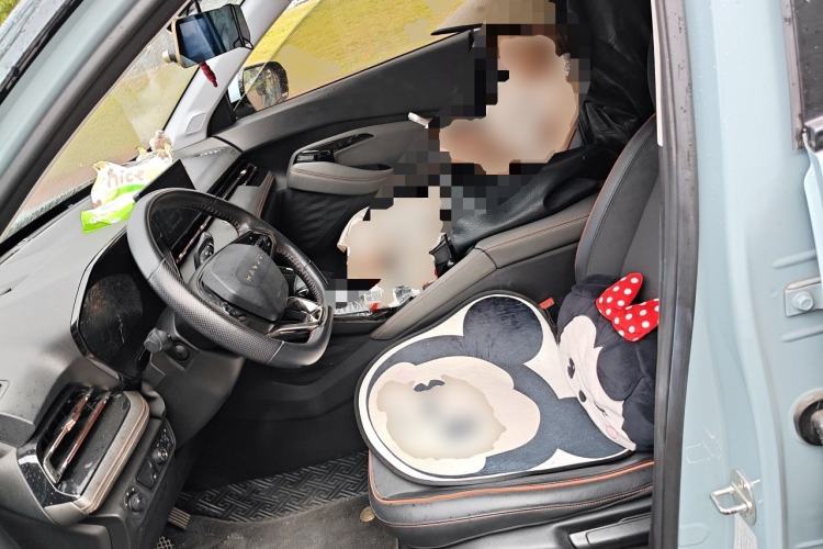 Used Baojun RS-3 2020 1.5T CVT Smart Luxury Edition Left Front Seat