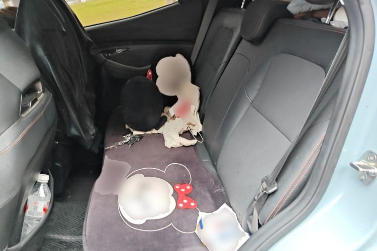 Used Baojun RS-3 2020 1.5T CVT Smart Luxury Edition Left Rear Seat